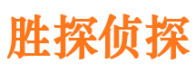 施甸侦探